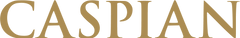 CASPIAN gold wordmark